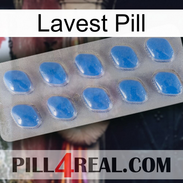 Lavest Pill 22